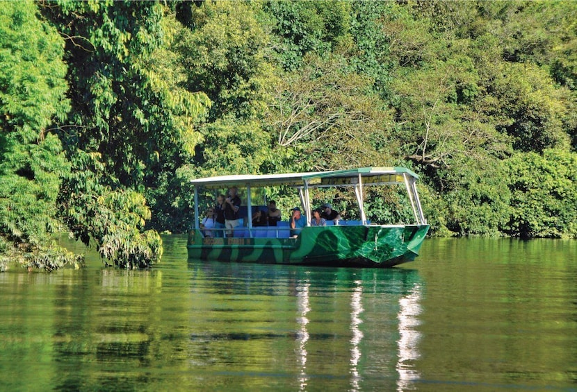 Picture 1 for Activity Daintree Rainforest: Crocodile & Wildlife River Cruises