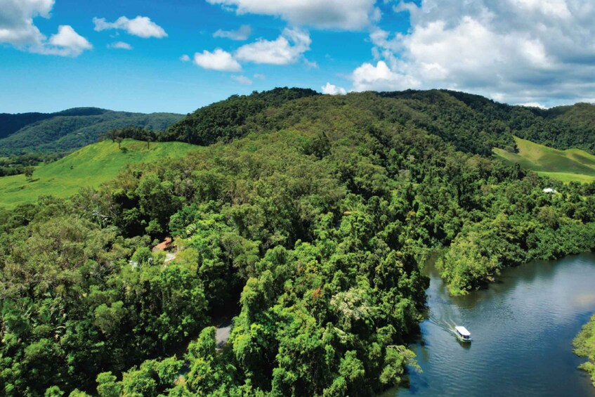 Picture 3 for Activity Daintree Rainforest: Crocodile & Wildlife River Cruises