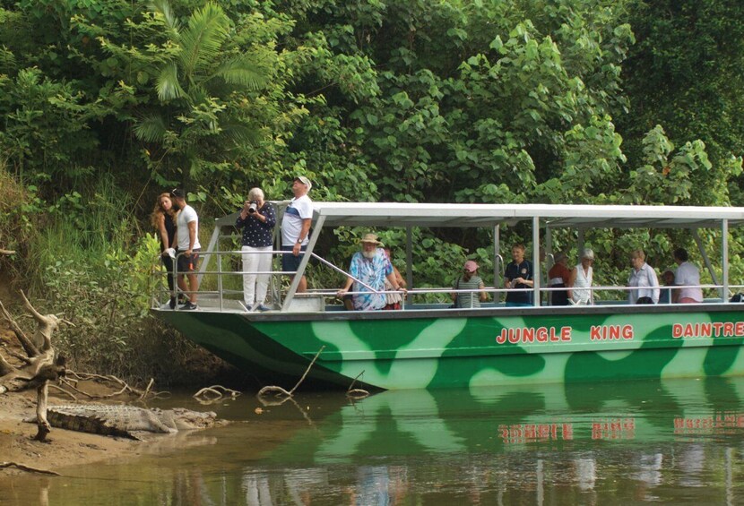 Picture 6 for Activity Daintree Rainforest: Crocodile & Wildlife River Cruises