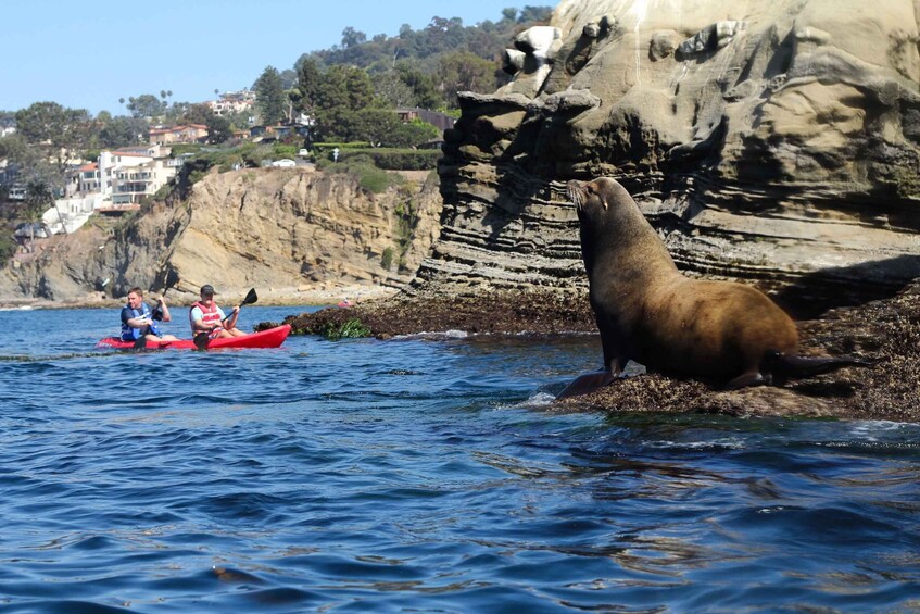 Picture 2 for Activity La Jolla: 2-Hour Kayak Tour of the 7 Caves