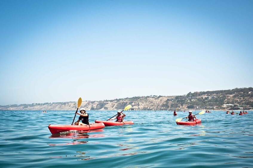 Picture 9 for Activity La Jolla: 2-Hour Kayak Tour of the 7 Caves