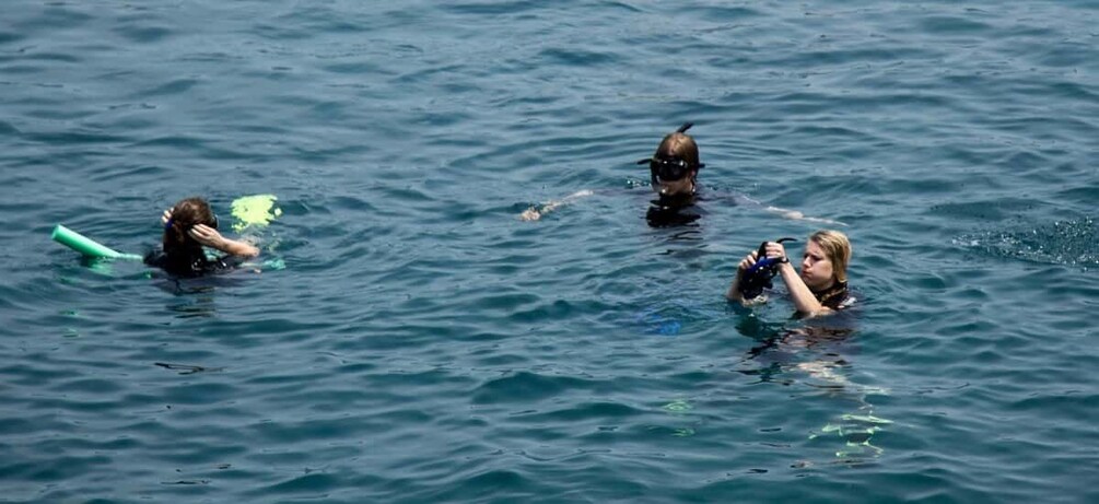 Picture 5 for Activity Cham Island Discovery Tour