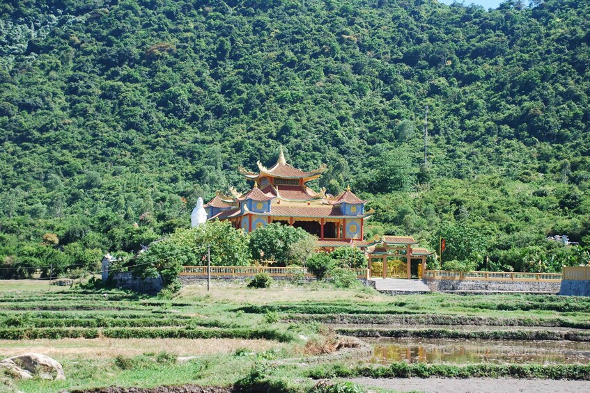 Picture 2 for Activity Cham Island Discovery Tour