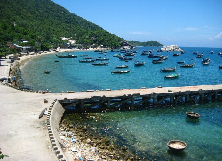 Picture 3 for Activity Cham Island Discovery Tour