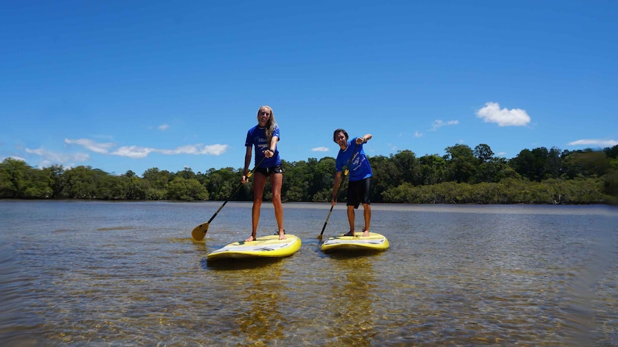 Private Byron Bay: 2-Hour Stand Up Paddle Board Nature Tour