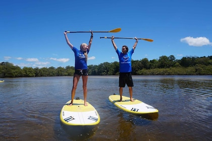 Byron Bay privata: tour in stand up paddle di 2 ore