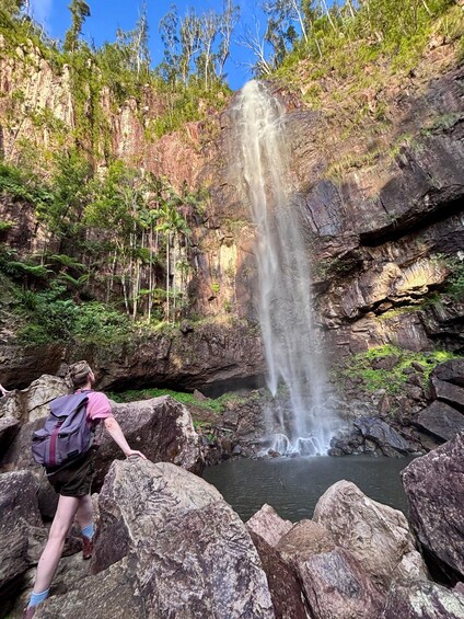 Picture 9 for Activity Byron Bay: Glowworms, Waterfalls & Rainforest Experience