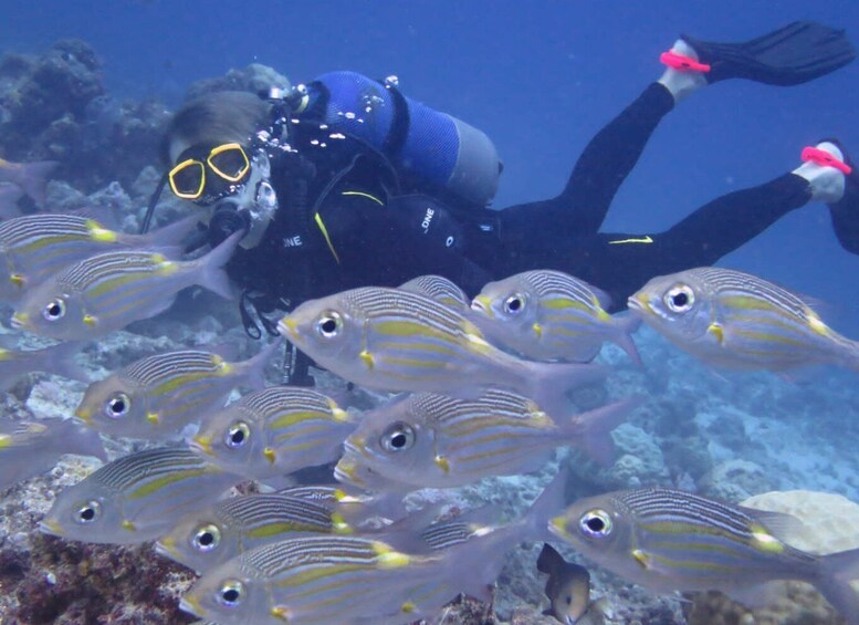 Picture 7 for Activity Padi Advance Open water Diver course