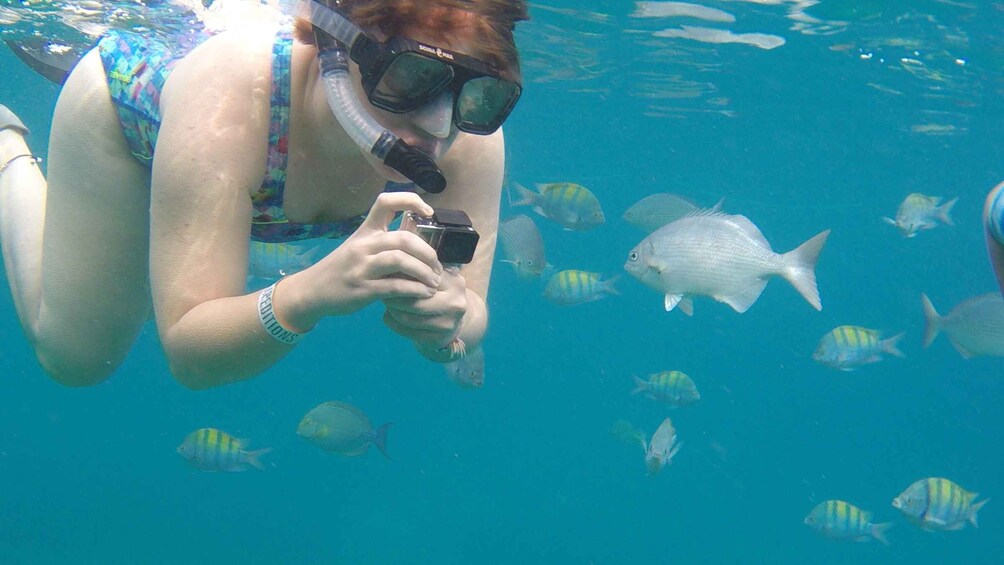 Picture 7 for Activity Cabo san Lucas: Paddle Boarding or Kayak and Snorkeling