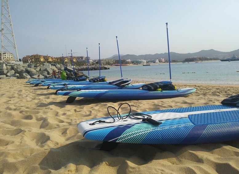 Picture 6 for Activity Cabo san Lucas: Paddle Boarding or Kayak and Snorkeling