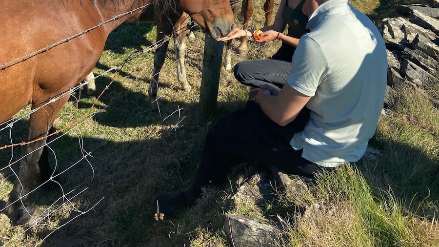 From Doolin: Cliffs of Moher Guided Coastal Walk