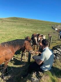 Au départ de Doolin : randonnée côtière guidée sur les falaises de Moher