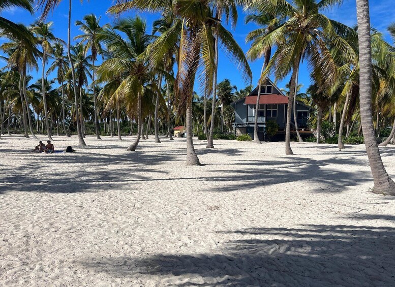 Picture 5 for Activity From La Romana: Saona Island for Costa Cruises Passengers