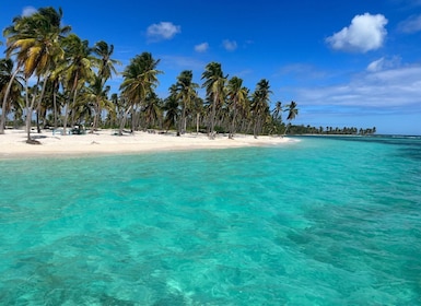 From La Romana: Saona Island for Costa Cruises Passengers