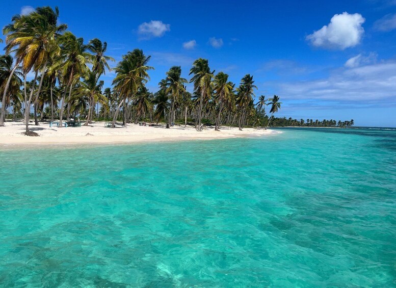 From La Romana: Saona Island for Costa Cruises Passengers