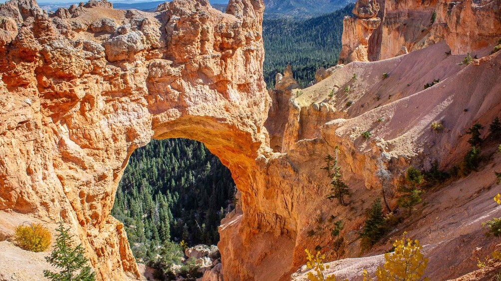 Picture 2 for Activity From Salt Lake City: Private Bryce Canyon National Park Tour