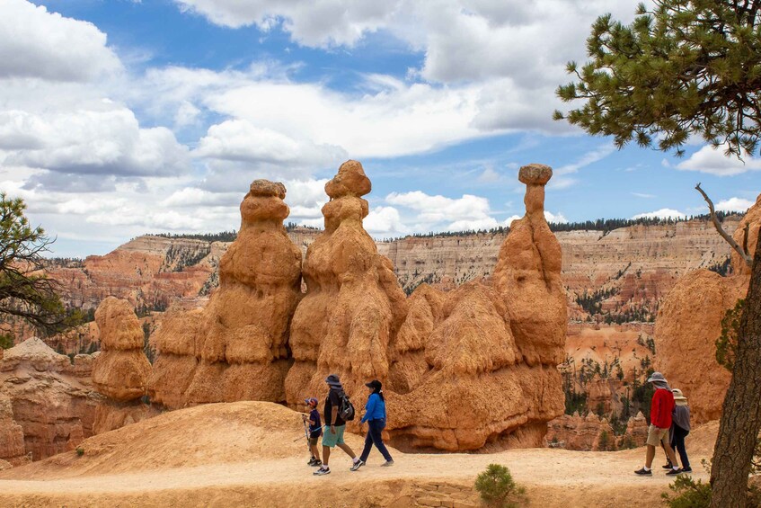 Picture 1 for Activity From Salt Lake City: Private Bryce Canyon National Park Tour
