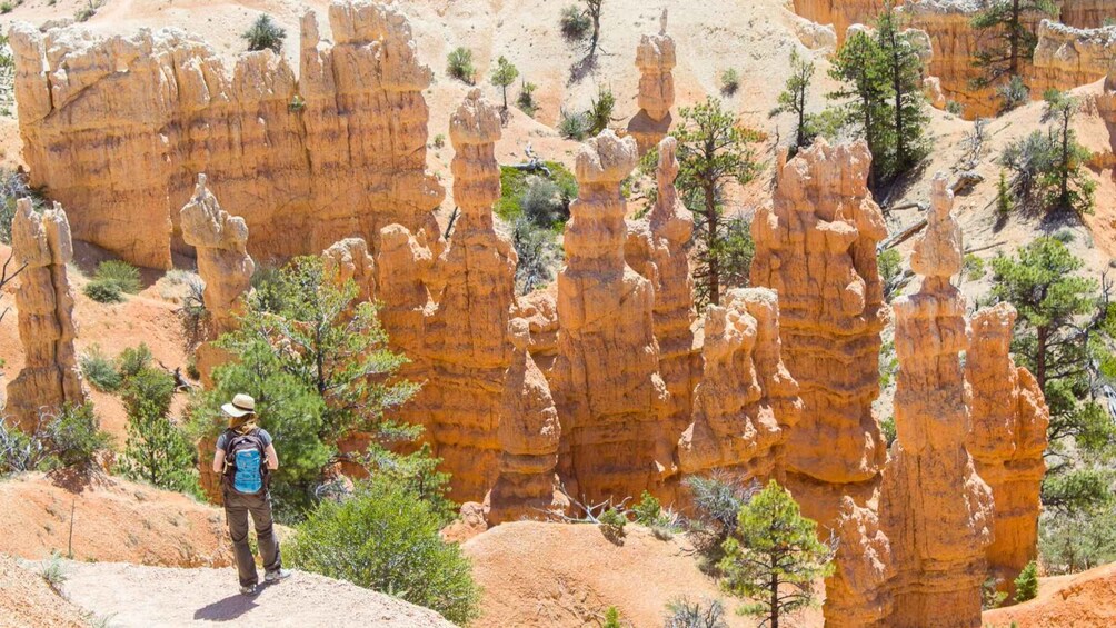 Picture 9 for Activity From Salt Lake City: Private Bryce Canyon National Park Tour