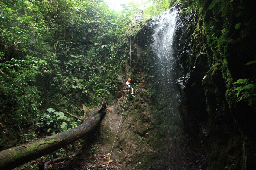 Picture 28 for Activity Machique Adventure Canyoning and Zipline Tour Costa Rica