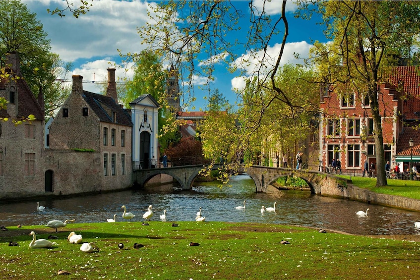 Picture 7 for Activity From Brussels: Bruges Day Trip with Optional Boat Tour