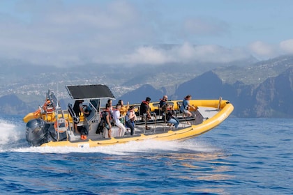 Funchal: walvissen en dolfijnen kijken Speedboottour