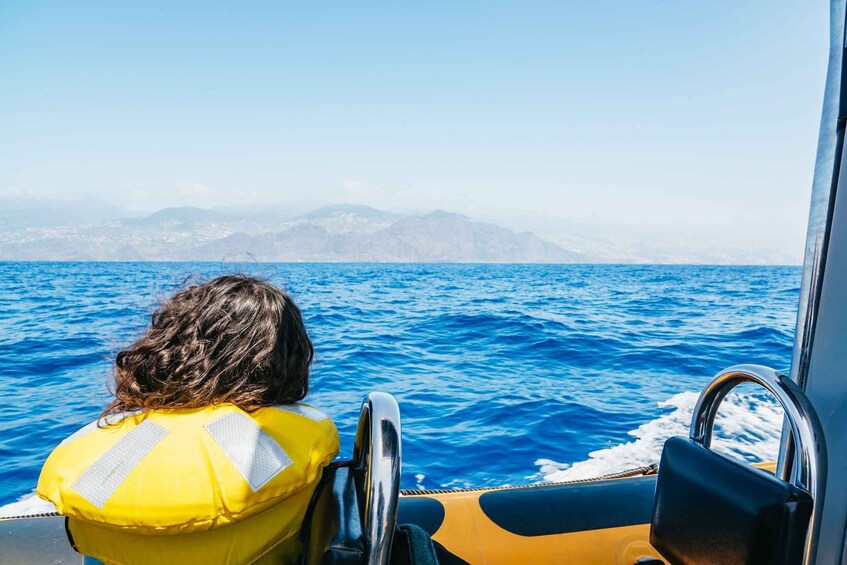 Picture 12 for Activity Funchal: Whale and Dolphin Watching Speed Boat Tour