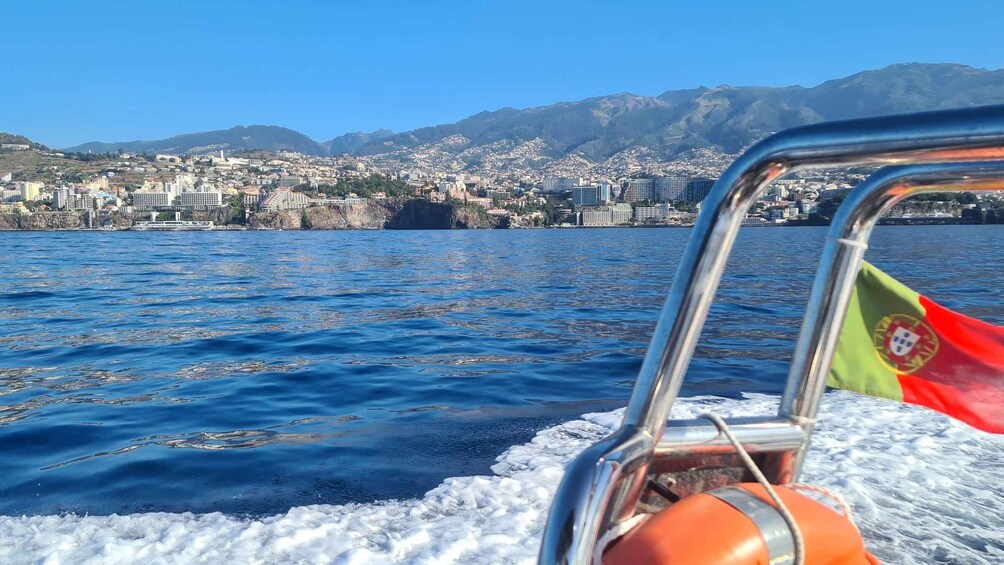 Picture 18 for Activity Funchal: Whale and Dolphin Watching Speed Boat Tour