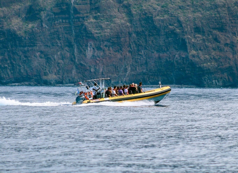 Picture 16 for Activity Funchal: Whale and Dolphin Watching Speed Boat Tour