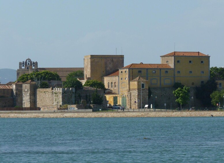 Picture 31 for Activity From Faro: 4 Stops, 3 Islands in Ria Formosa Catamaran Tour