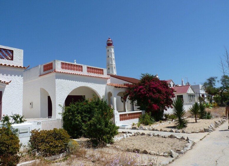 Picture 6 for Activity From Faro: 4 Stops, 3 Islands in Ria Formosa Catamaran Tour