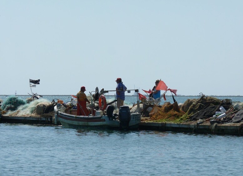 Picture 7 for Activity From Faro: 4 Stops, 3 Islands in Ria Formosa Catamaran Tour