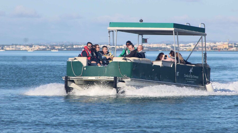 From Faro: 4 Stops, 3 Islands in Ria Formosa Catamaran Tour