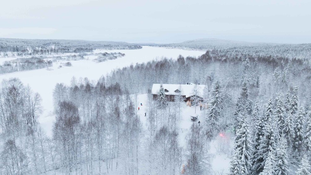 Picture 6 for Activity Rovaniemi: Husky & Reindeer Farm Visit with Snowmobile Ride