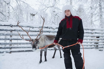 Rovaniemi: Snøscooter til reinsdyr, huskyfarm og nisselandsby