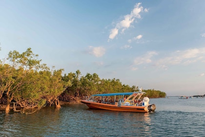 Tutustu Darwinin satamaan: Darwin Harbour iltapäiväristeily