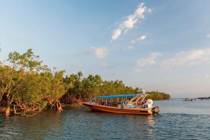 Discover Darwin Harbour: Darwin Harbour Afternoon Cruise