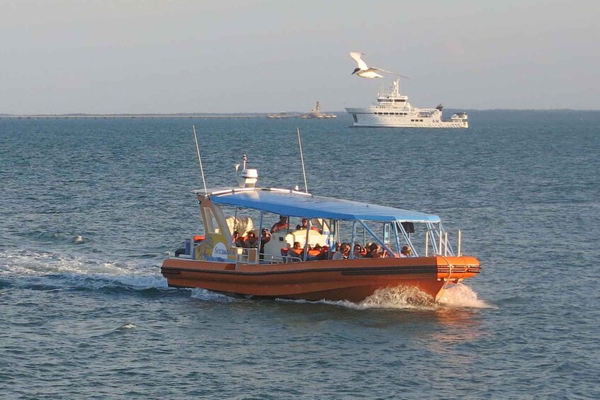 Picture 4 for Activity Discover Darwin Harbour: Darwin Harbour Afternoon Cruise