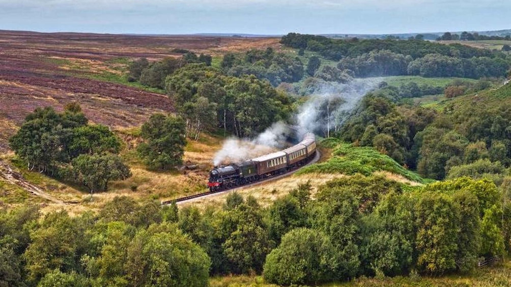 Picture 2 for Activity From York: Moors, Whitby, and the Yorkshire Steam Railway