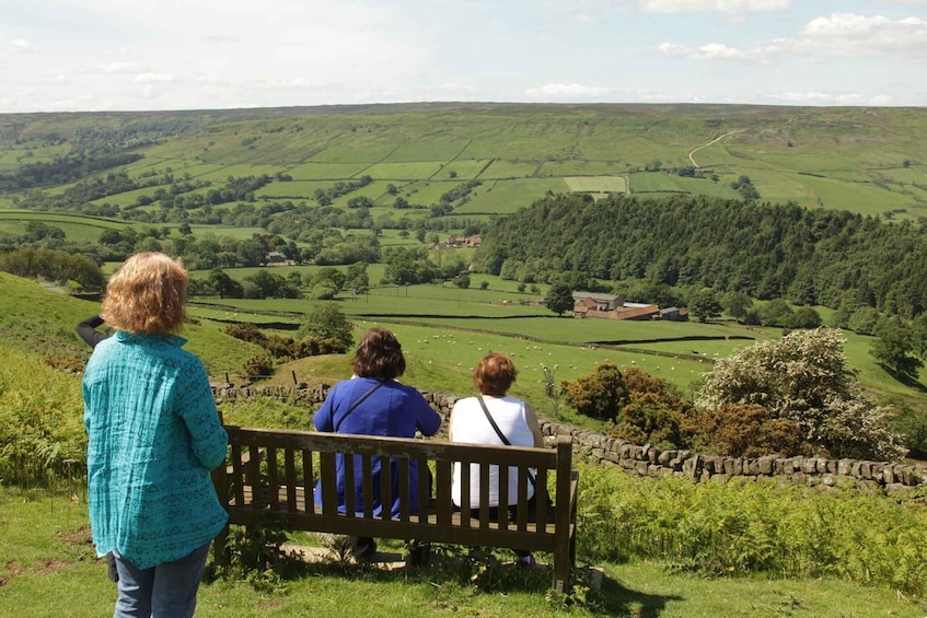 Picture 5 for Activity From York: Moors, Whitby, and the Yorkshire Steam Railway