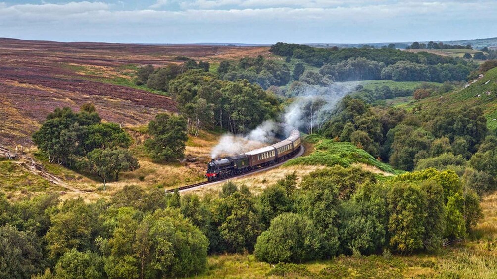 Picture 2 for Activity From York: Moors, Whitby, and the Yorkshire Steam Railway