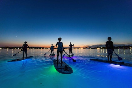 Pola: Tour notturno in Stand-Up Paddle Board a LED