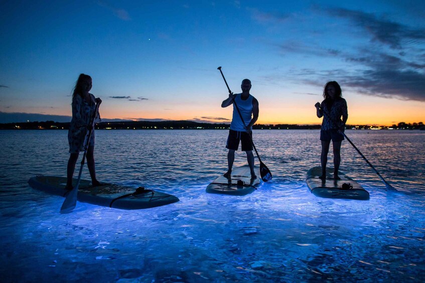 Picture 3 for Activity Pula: Night LED Stand-Up Paddle Board Tour