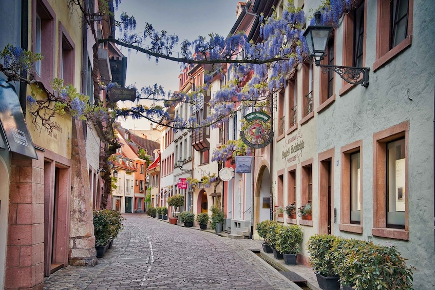 Picture 9 for Activity Freiburg: Gässle, Bächle and More City Tour