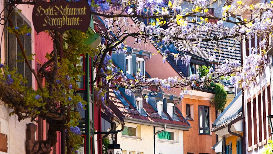Freiburg: Gässle, Bächle and More City Tour