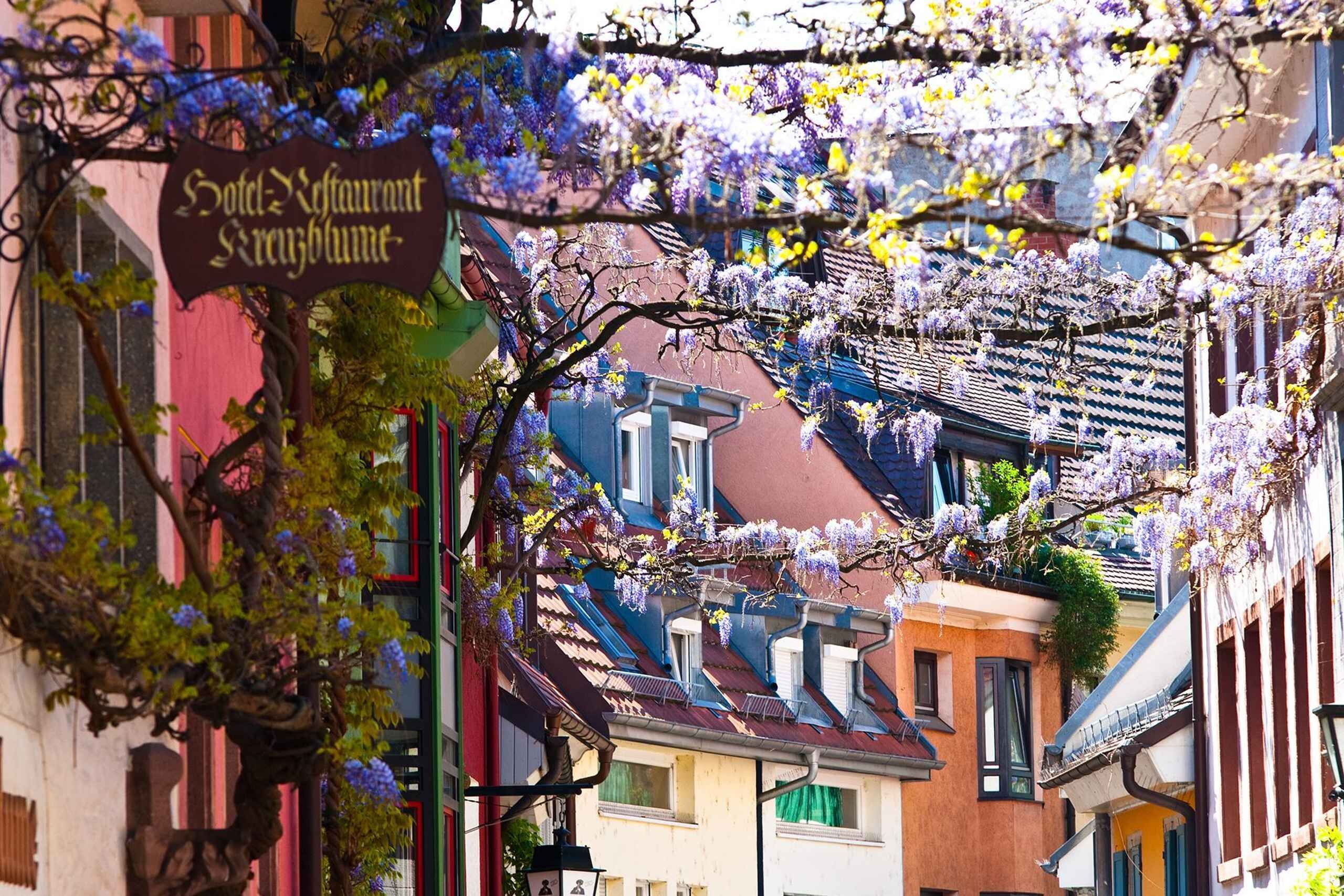 Freiburg: Gässle, Bächle and More City Tour