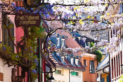 Freiburg: Gässle, Bächle og mer byrundtur i Freiburg