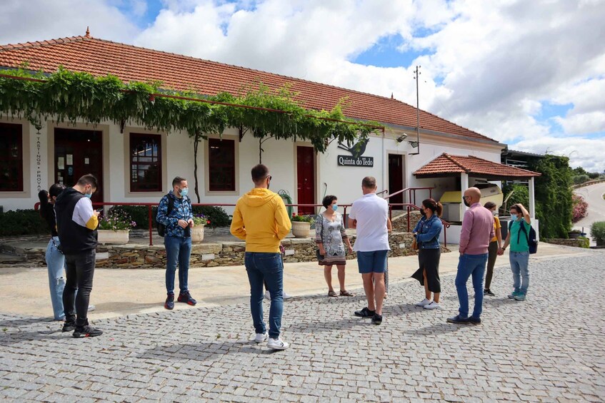 Picture 8 for Activity Douro Valley: Douro Valley Tour Including 3 Wineries