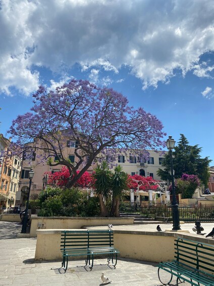 Picture 6 for Activity Corfu: History and Culture Walking Tour