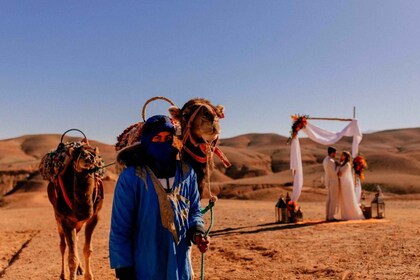 Marrakech: Excursión de un día por el desierto y la montaña con paseo en ca...