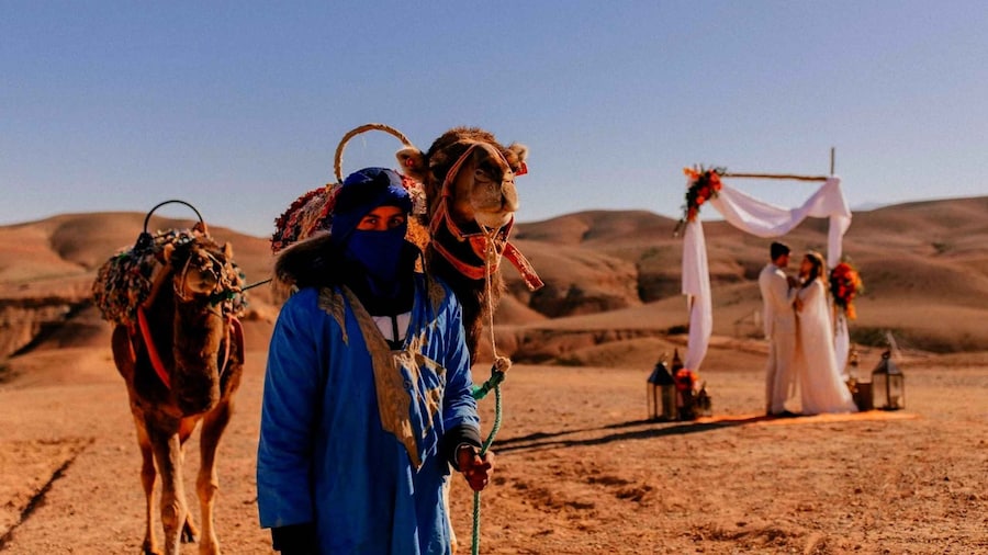 Marrakesh: Full-Day Desert and Mountain Tour with Camel Ride